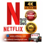 Netflix Premium 4K Global Access